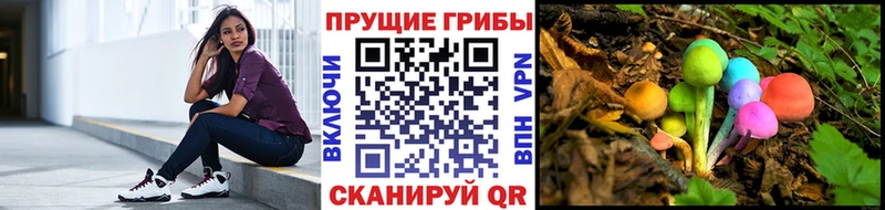 купить наркотик  Плавск  Псилоцибиновые грибы Magic Shrooms 