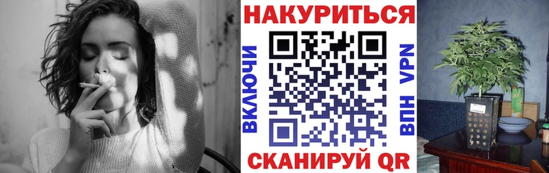 Бошки марихуана OG Kush как найти Плавск